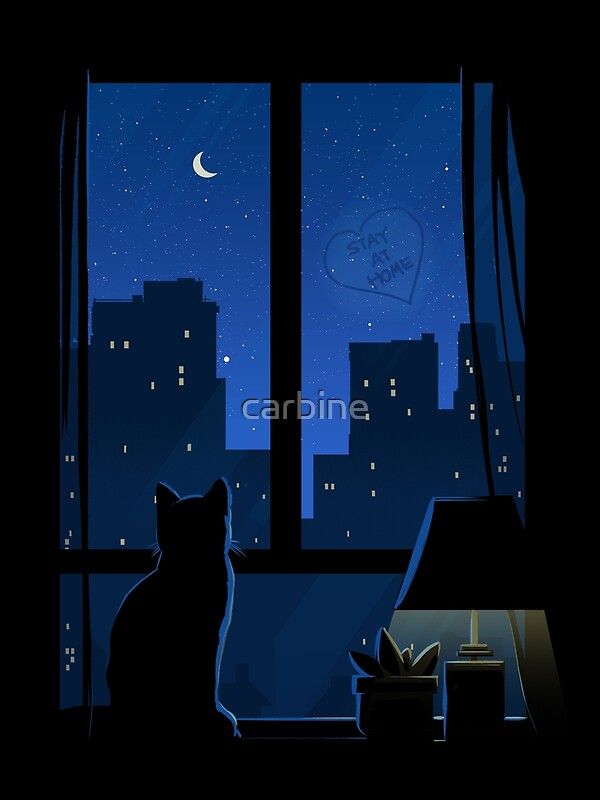 a cat sitting in front of a window looking out at the night cityscape