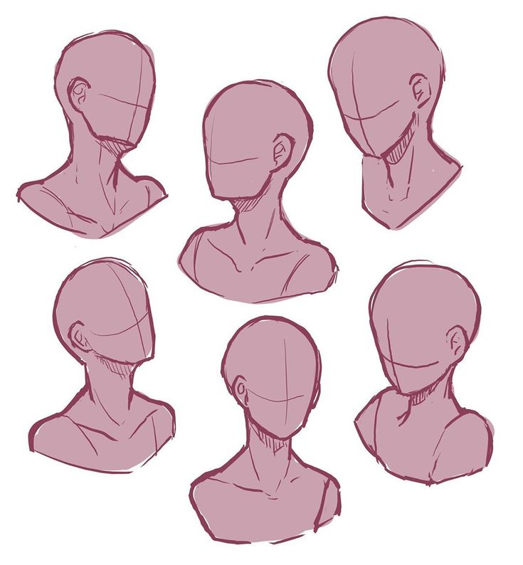 a bunch of different types of head and neck shapes in various positions on a white background