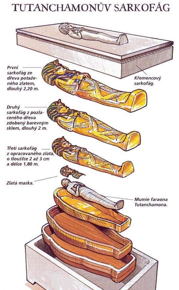 an illustration showing the different types of knives