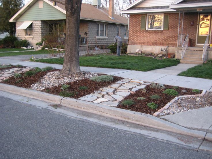 a tree in the middle of a yard with rocks and grass growing on it's sides