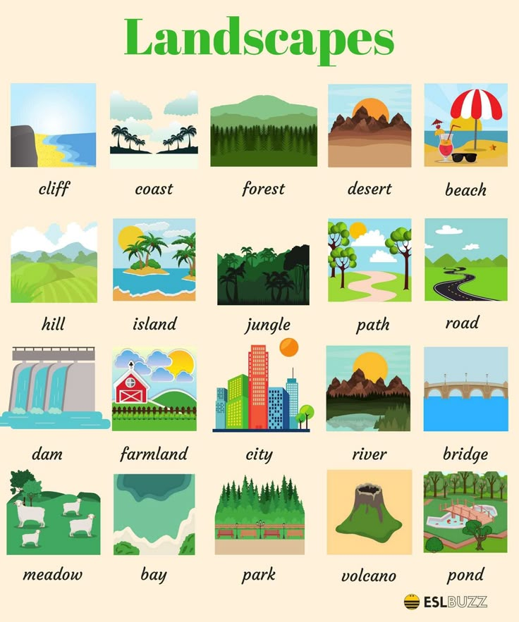 an illustrated poster with different types of landscapes