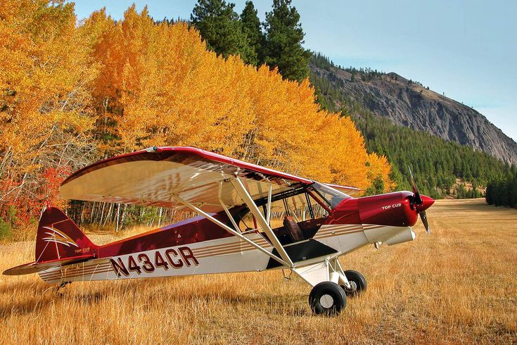 a small airplane parked on top of a dry grass field next to trees with yellow leaves