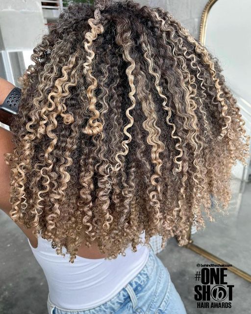 Beige Blonde Highlights Curly Hair, Blonde Highlight Colors, Blonde Contrast Hair Highlights, Blonde Tips Curly Hair, Coily Highlights, Blonde Highlights Curly Hair Black Women, Curly Hair With Blonde Streaks, Highlights On Curly Hair Natural Curls, Curly Hair Ash Blonde