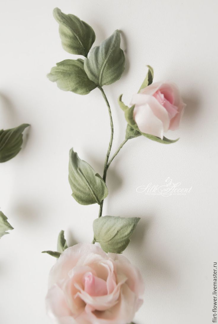 three pink roses with green leaves on a white background