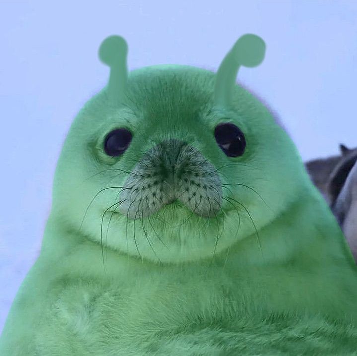 a green seal sitting on top of a stuffed animal