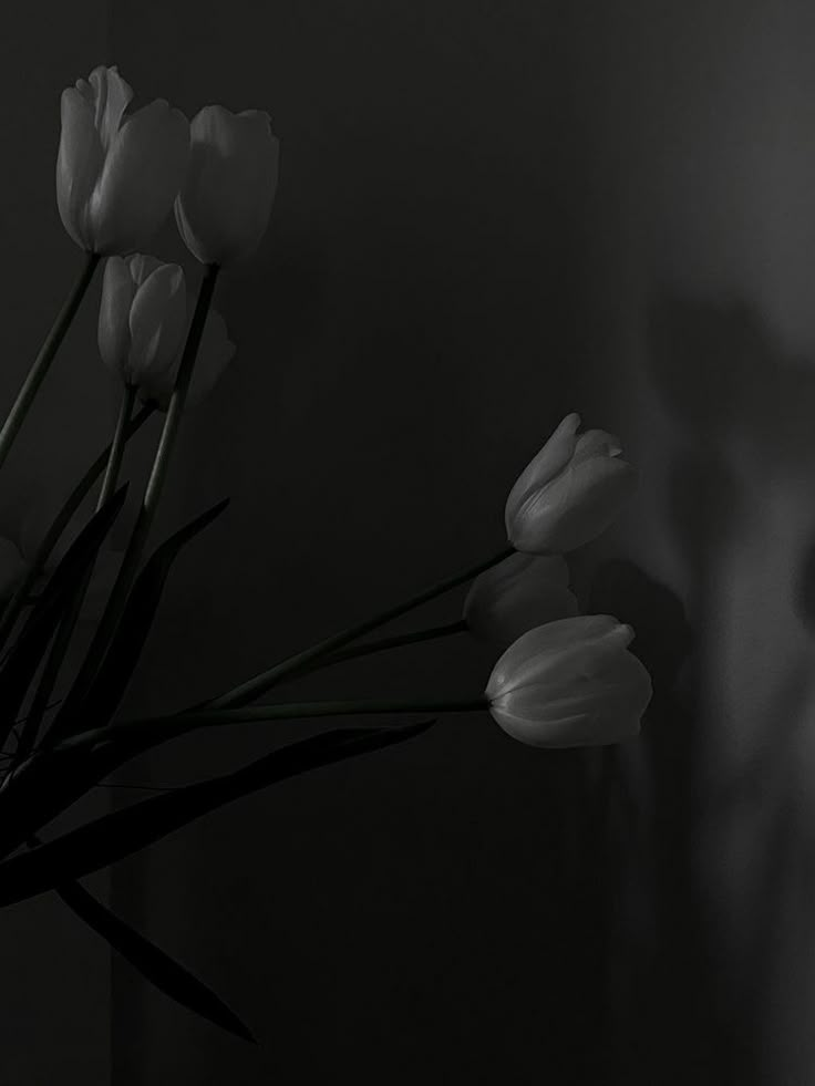 some white tulips are in a black and white photo with a woman's face behind them