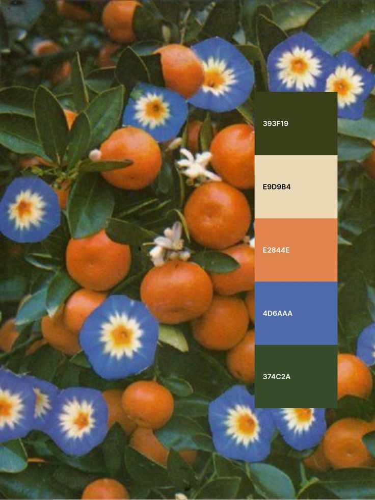 an orange tree with blue flowers and green leaves