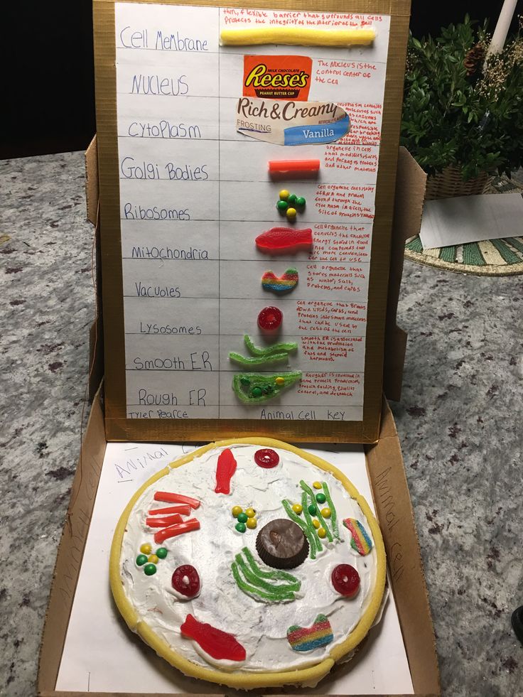 a box with a pizza in it on top of a table next to a sign