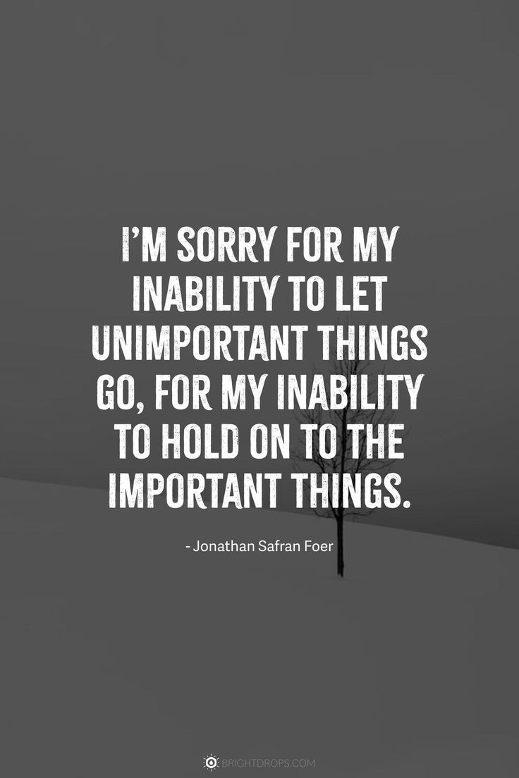 the quote i'm sorry for my inabilty to let unimportant things go, for my inability to hold on to the important things