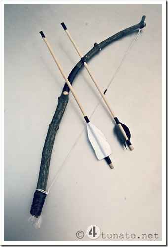 an arrow and bow laying on top of each other with two arrows attached to it