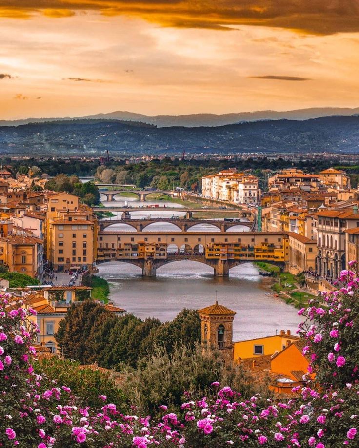 the city is surrounded by beautiful flowers and trees, as well as an old bridge