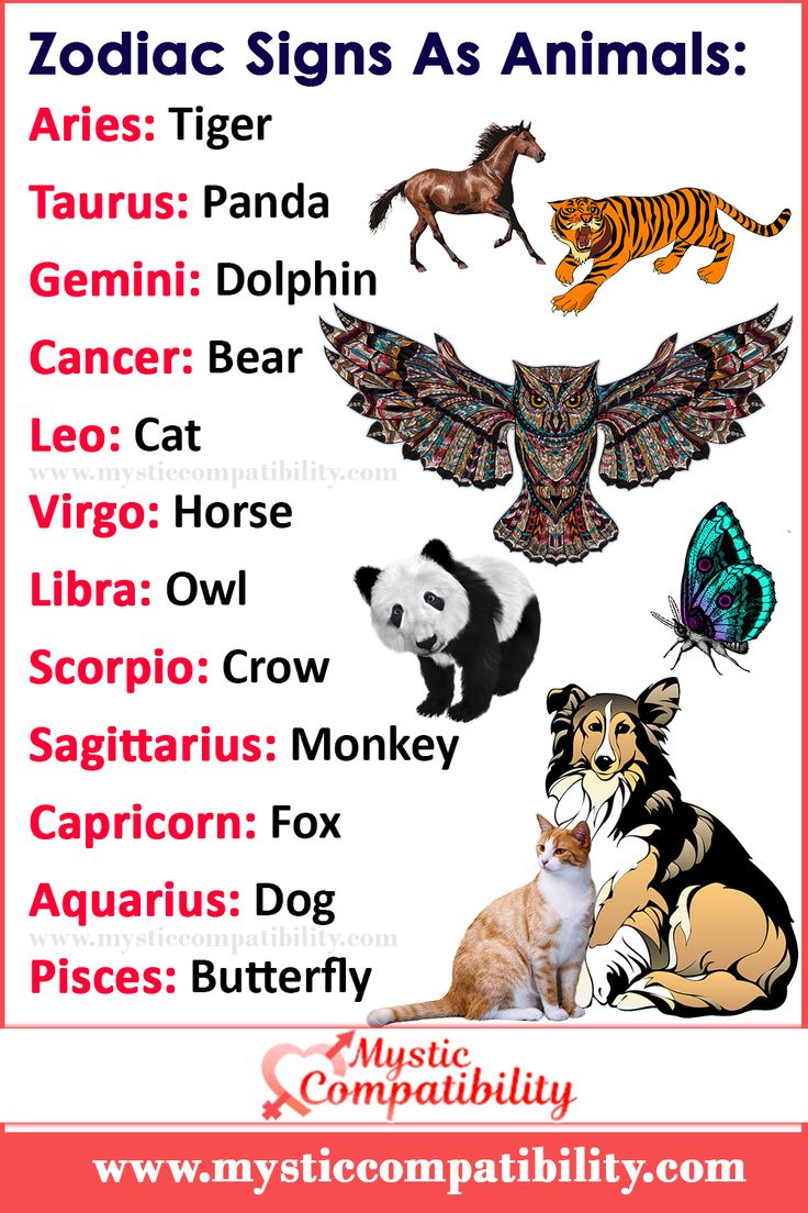 zodiac signs as animals are shown in this image with the caption for each sign