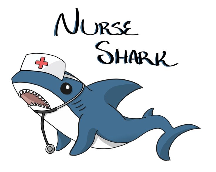 a cartoon shark with a nurse's cap on its head and the words nurse shark