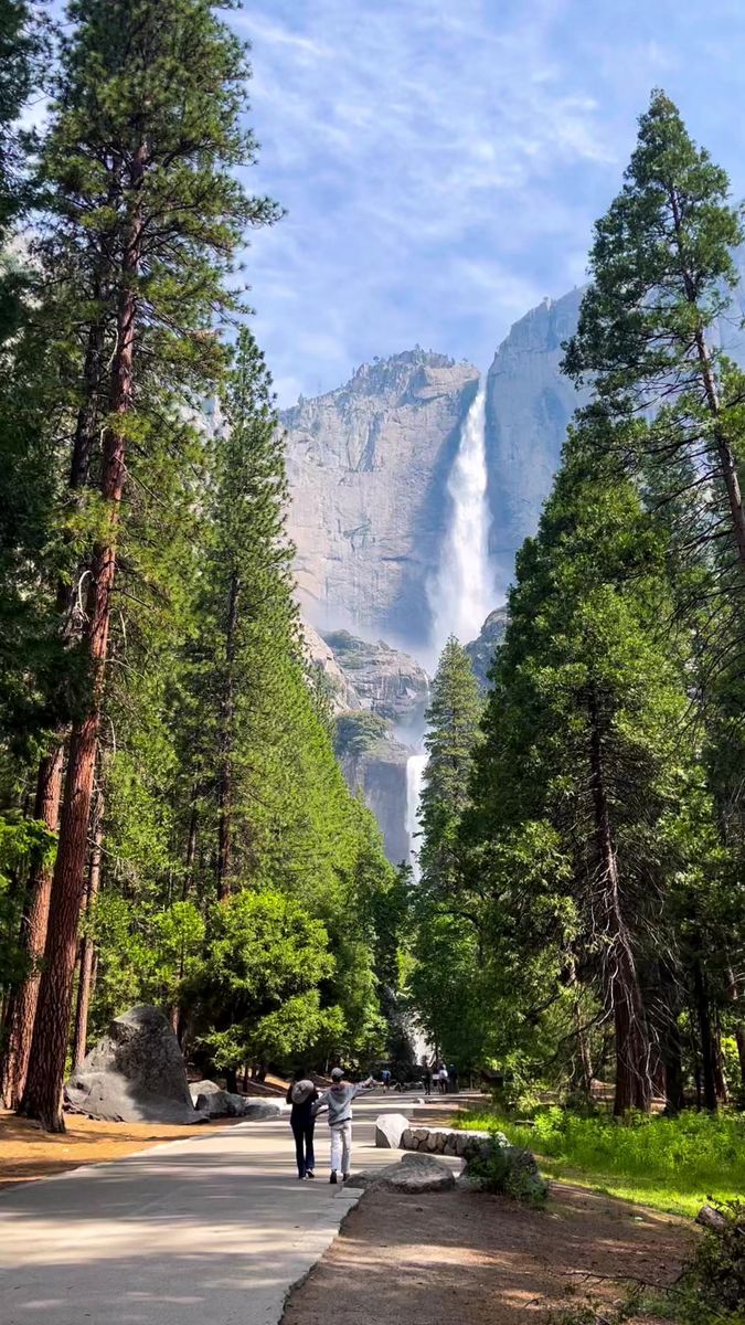 two people are walking down the road in front of a waterfall and some tall trees