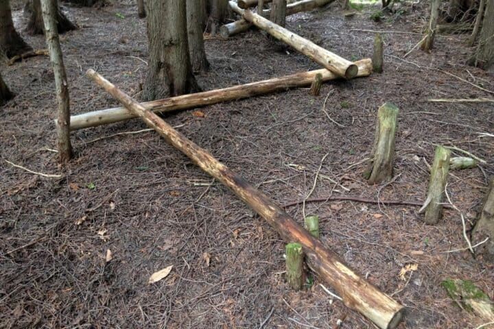 several pieces of wood that are laying on the ground