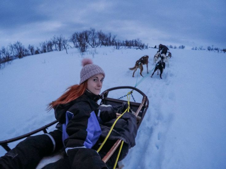 a woman is sledding down a hill with two dogs behind her and one dog pulling the sled