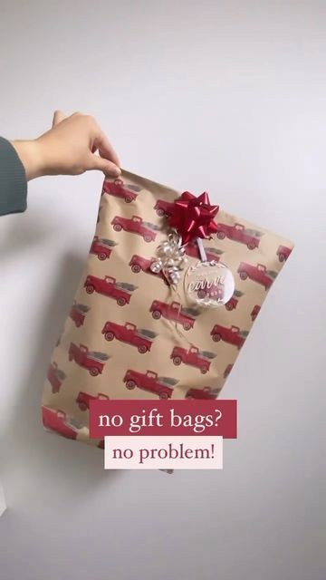 a person holding a bag with no gift bags on it