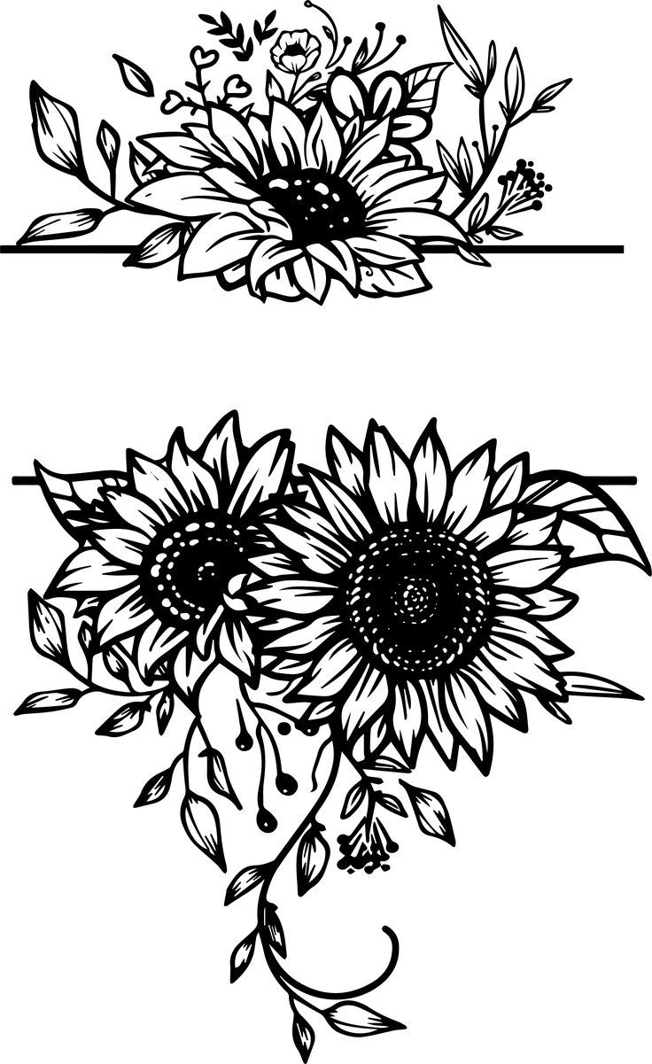 two black and white sunflowers with leaves on the stems, one is drawn by hand