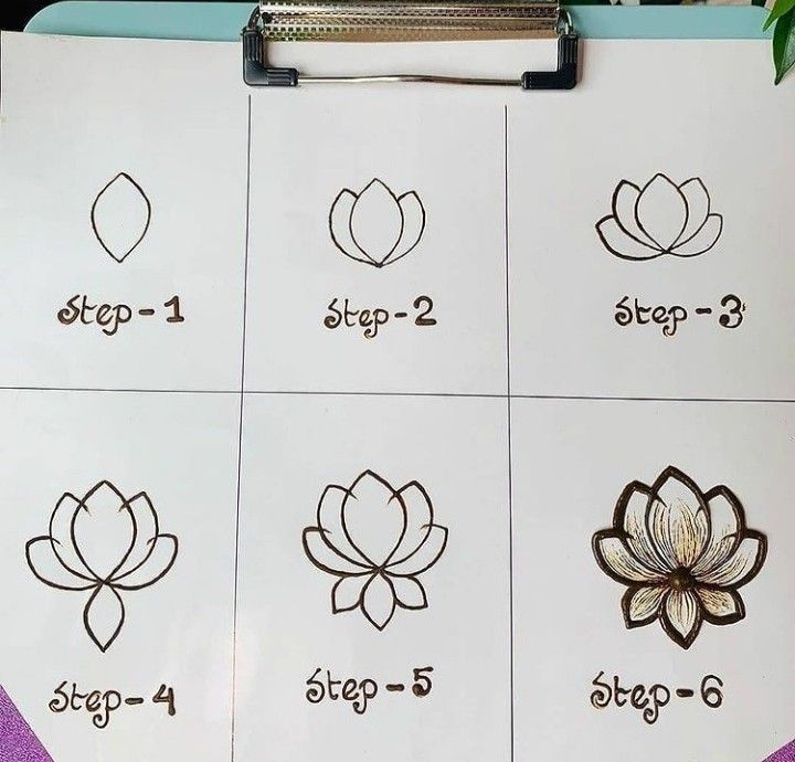 a clipboard with instructions on how to draw flowers in different stages of blooming