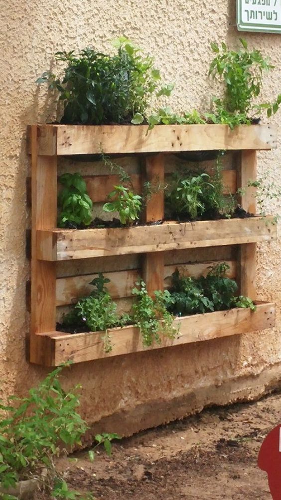 a wooden shelf filled with lots of green plants