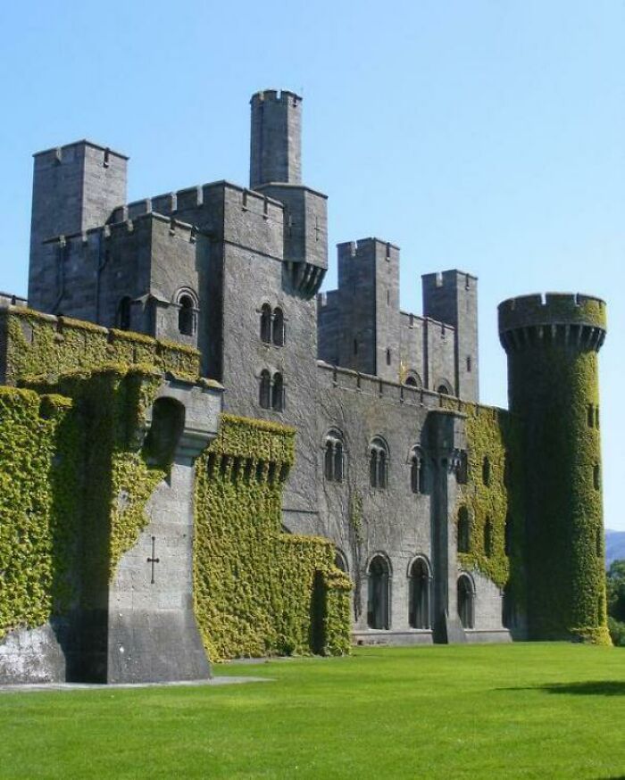 an old castle with ivy growing on it's walls and grass in the foreground