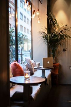 a laptop computer sitting on top of a table in front of a window next to a potted plant