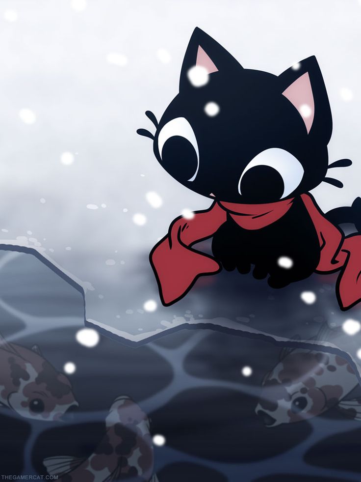 a black cat is floating in the water and looking at something off to the side