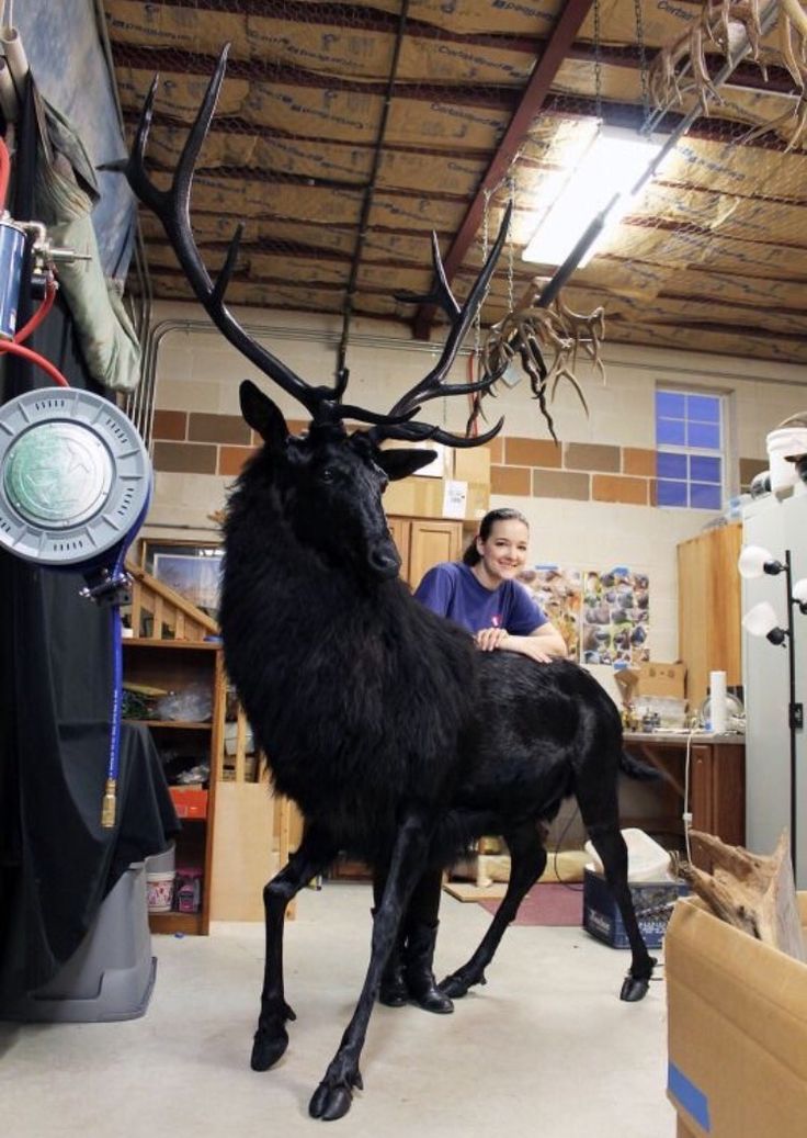 a woman standing next to a black deer in a room