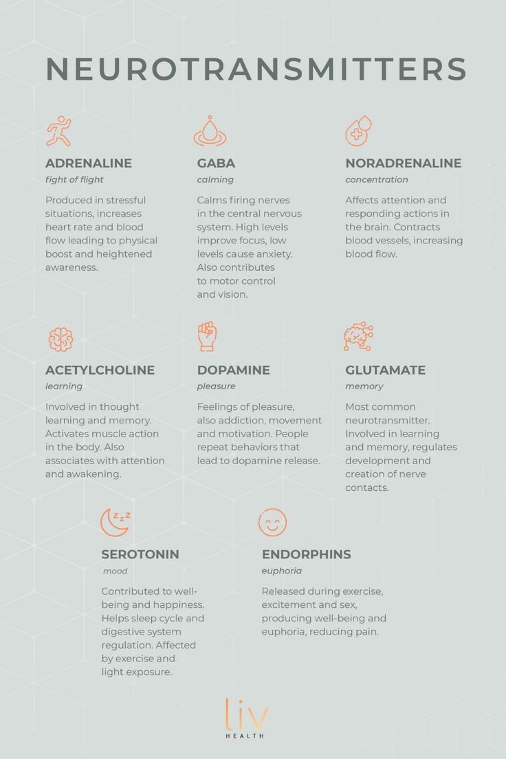 the neurotransmitters info sheet is shown in orange and grey colors