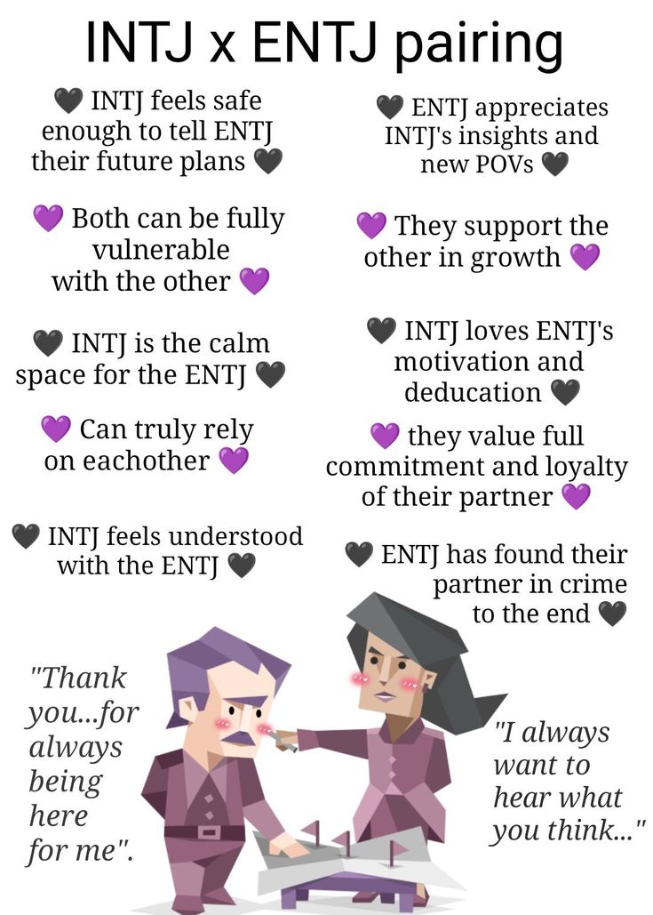 Info And Entj, Entj Intp Couple, Intj Entj Ship, Enfp Male X Intj Female, Entj Intj Relationship, Entj And Intj Relationship, Entj Intj Couple, Entj X Intj Relationship, Entj Ship