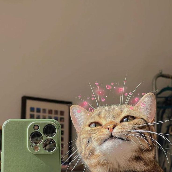 a cat sitting next to an iphone with pink sprinkles on its head