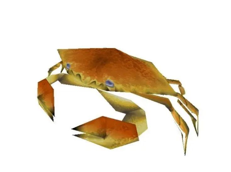 an orange crab with blue eyes on it's back legs and tail, standing in front of a white background