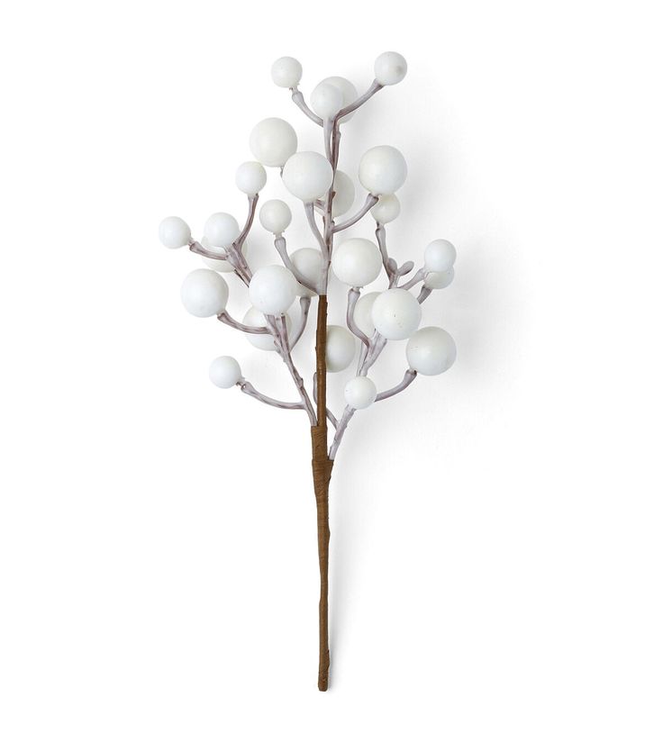 a branch with white balls on it against a white background, in the shape of a tree