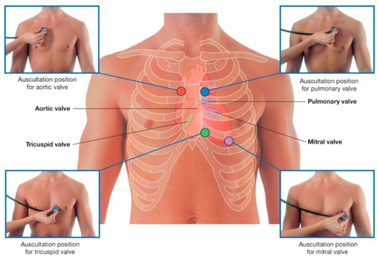 an image of the chest and ribs with instructions on how to use it for medical purposes