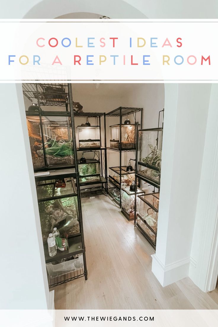 a room filled with lots of different types of food in glass cases on the floor