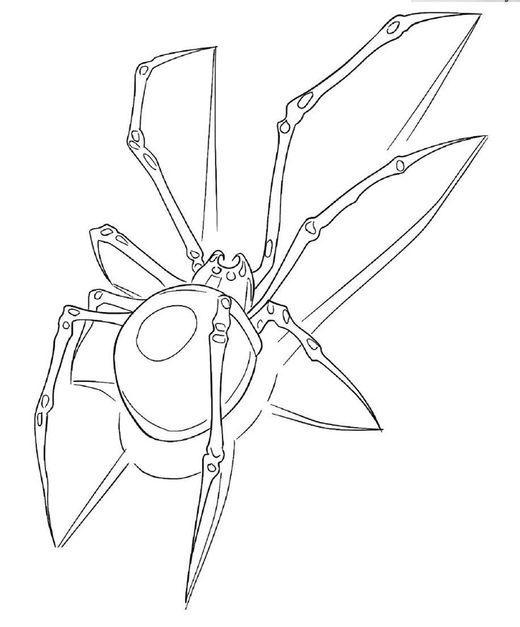 a drawing of a spider with large claws on it's back legs and head