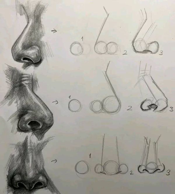 some drawings of different types of nose and eye parts are shown in this drawing lesson