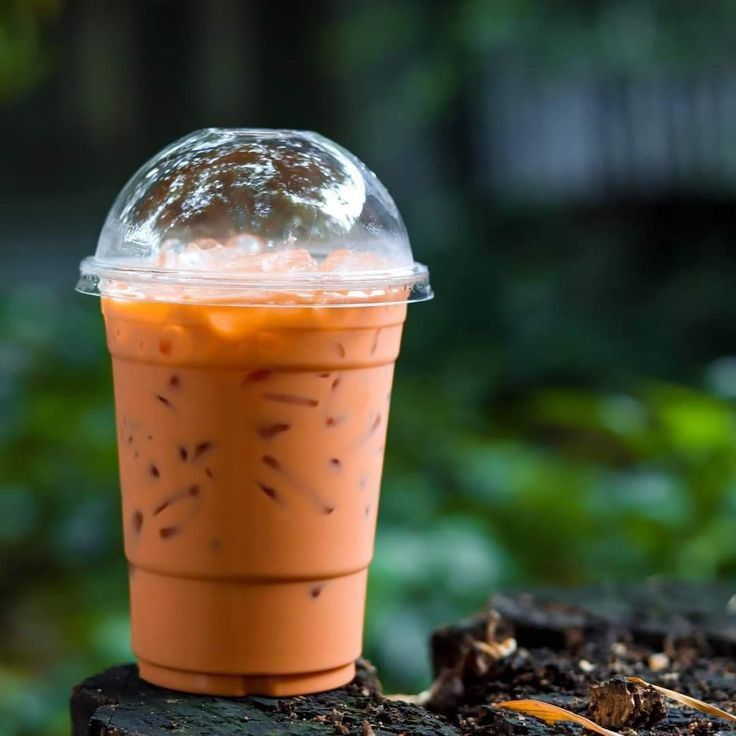 a plastic cup filled with liquid sitting on top of a tree stump