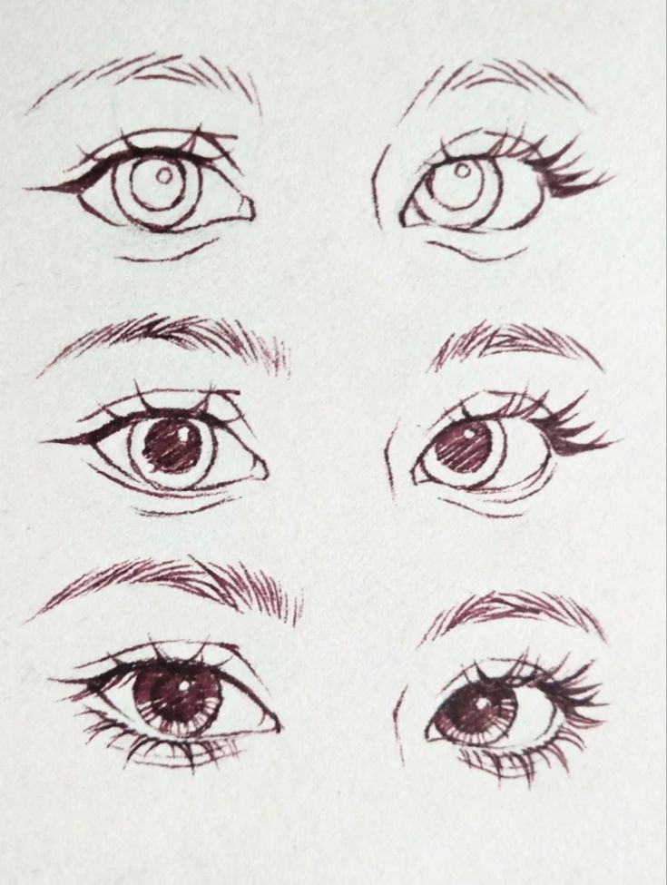 the different types of eyes are shown in this drawing