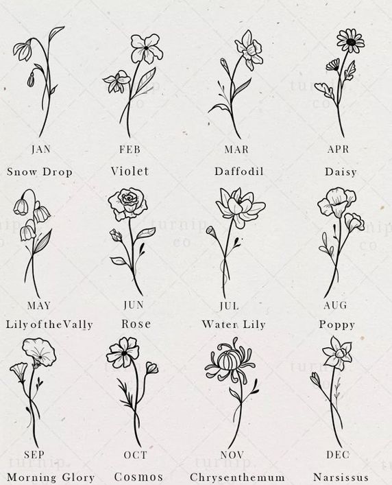 the different types of flowers are shown in black and white, with text below them