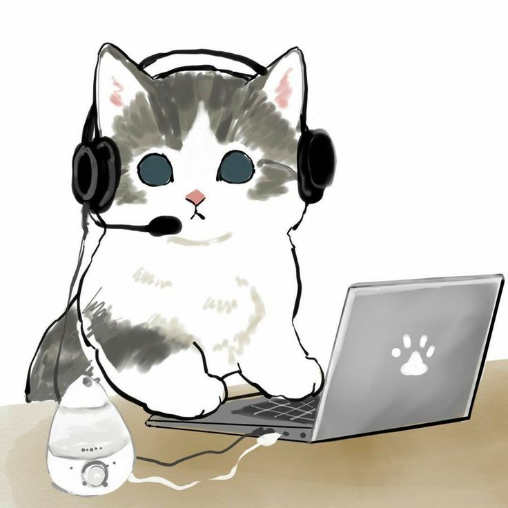 a cat with headphones sitting in front of a laptop