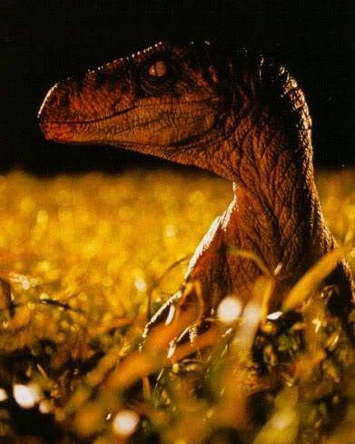 a close up of a small dinosaur in the grass with it's eyes open