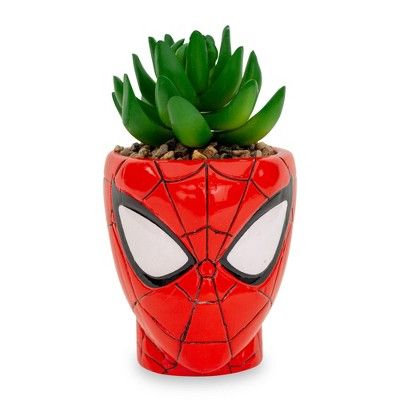 a spiderman planter with succulents in it's face on a white background