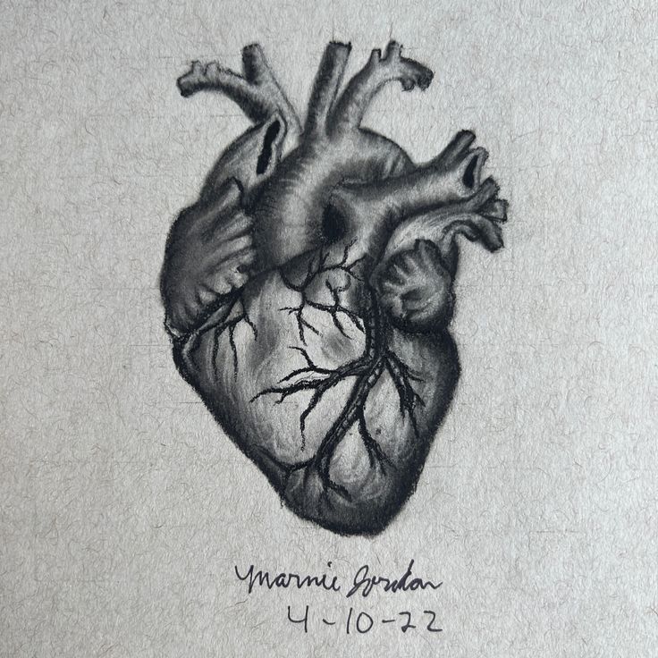 a black and white drawing of a human heart