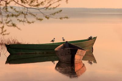 a small green boat floating on top of a lake next to a shore covered in birds