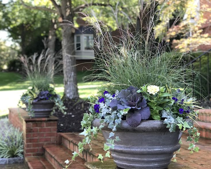 two large planters filled with purple flowers and greenery sit on the steps in front of a house