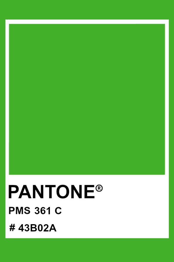 pantone's lime green color is shown with the words pantone pm 3501 c