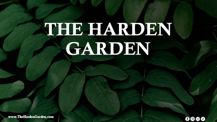 The Harden Garden