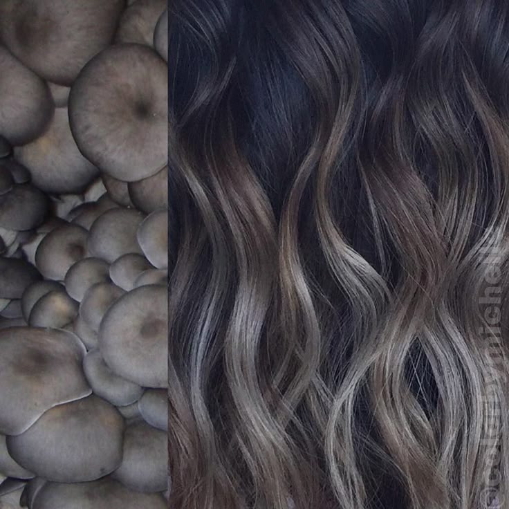 Tmavý Blond, Mushroom Blonde, Winter Hair Color Trends, New Hair Color Trends, Mushroom Hair, Mushroom Brown, Low Maintenance Hair, Ombré Hair, Winter Hair Color