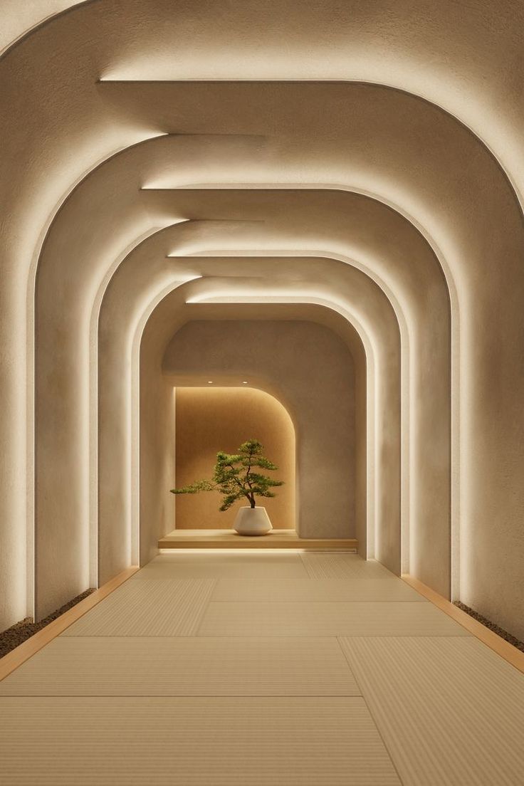 an empty room with white walls and lights on the ceiling, along with a potted plant